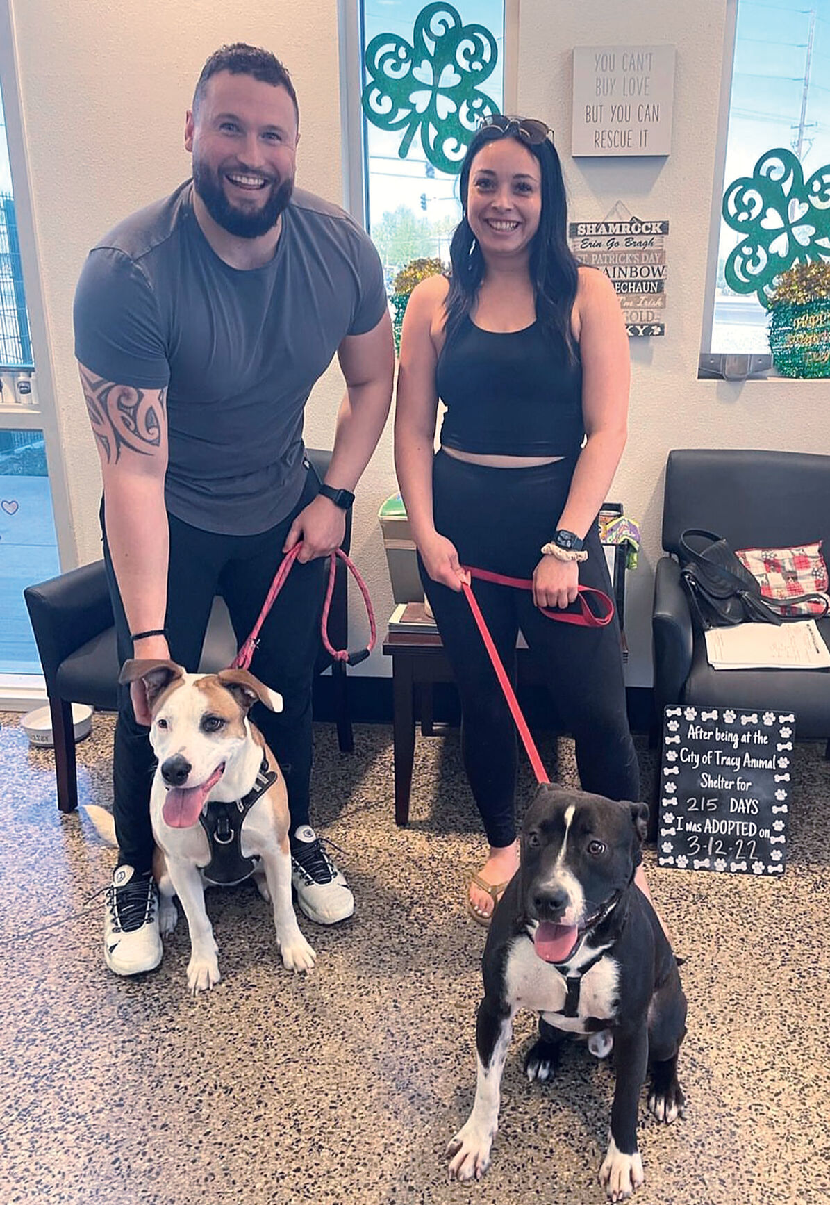 Pet adoptions